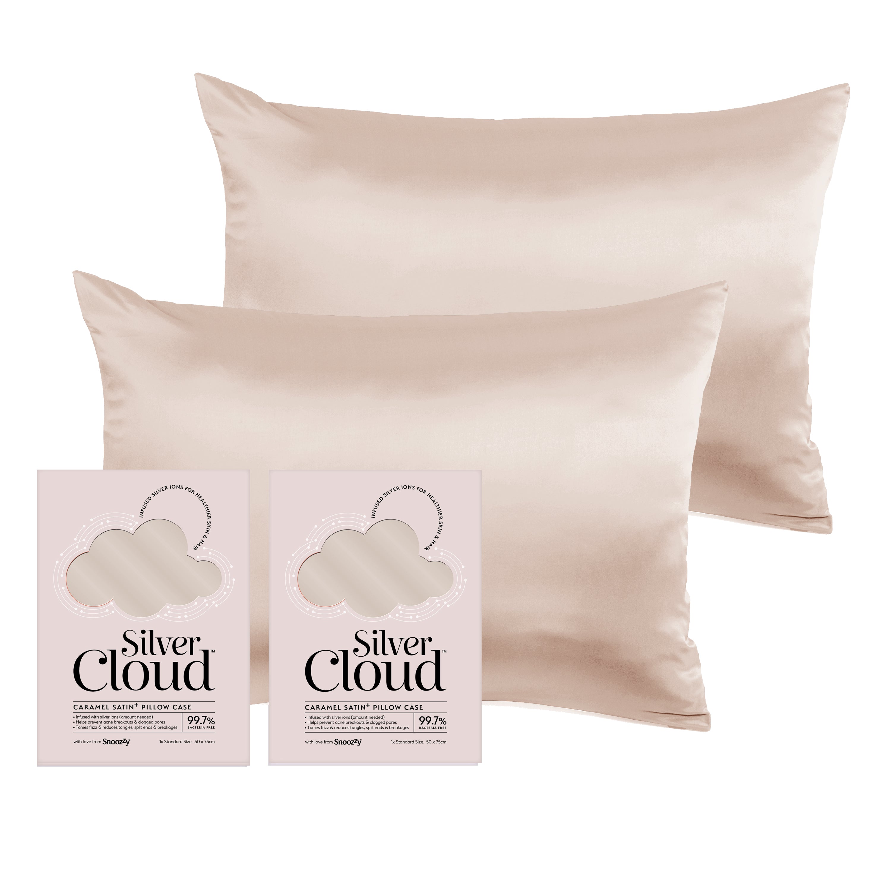 Silver Cloud Caramel Satin Pillowcase Twinpack