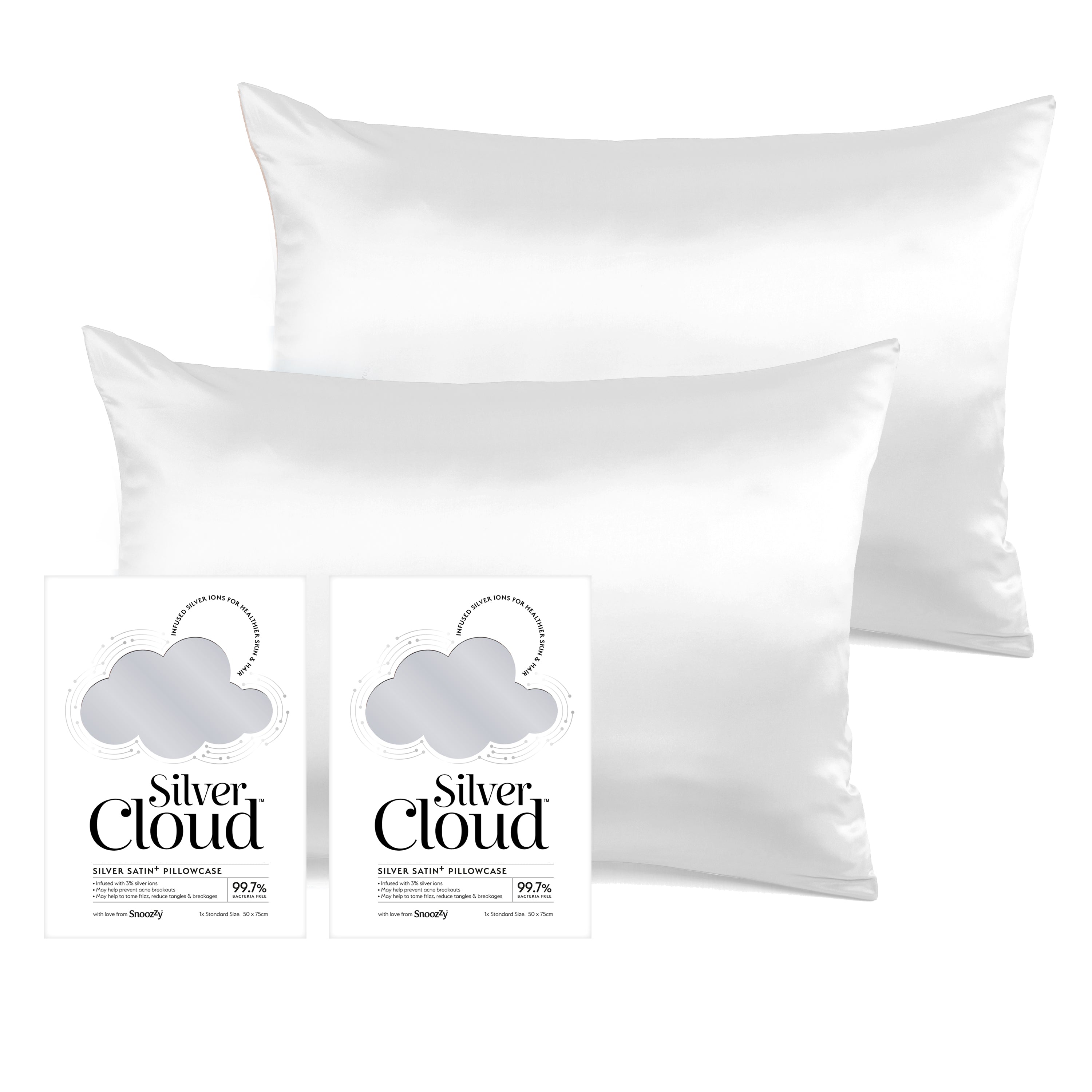 Silver Cloud Silver Satin Pillowcase Twinpack